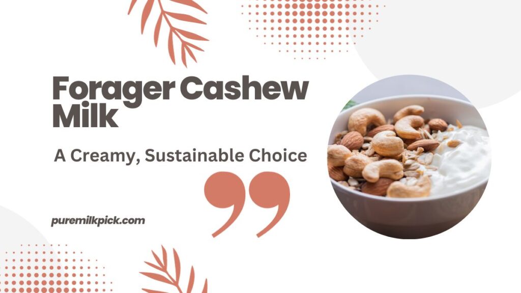 Forager Cashew Milk A Creamy, Sustainable Choice