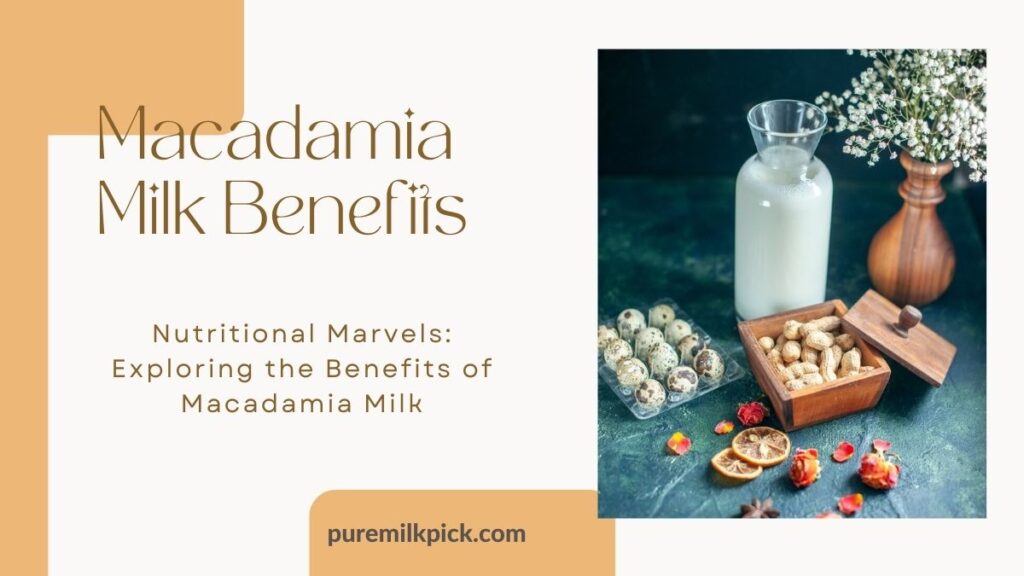 Nutritional Marvels Exploring the Benefits of Macadamia Milk